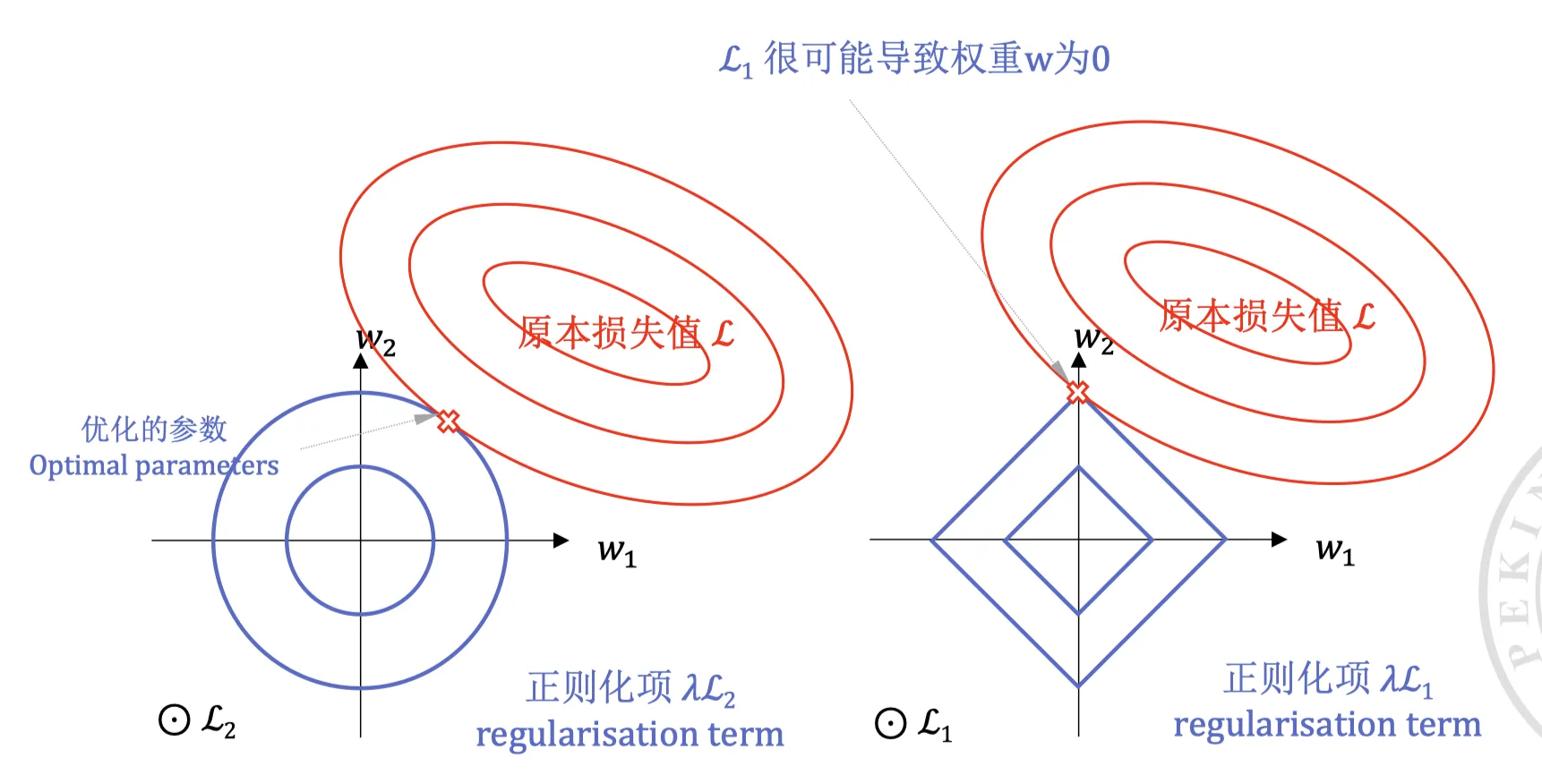 L1-vs-L2