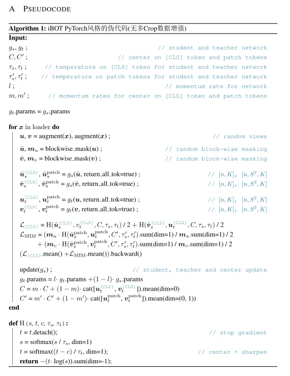 iBOT_pesudo_code