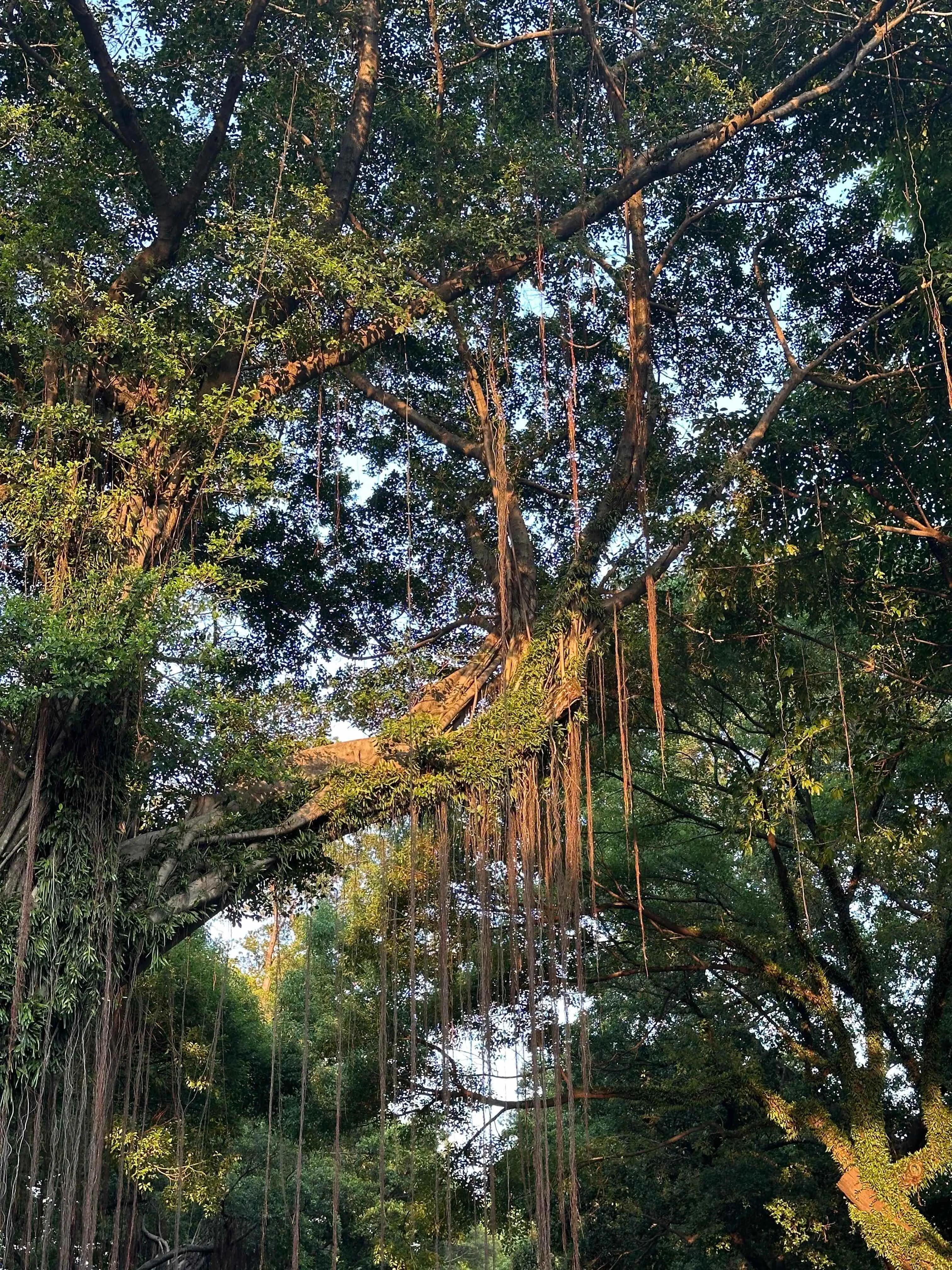 image-20240807211239319