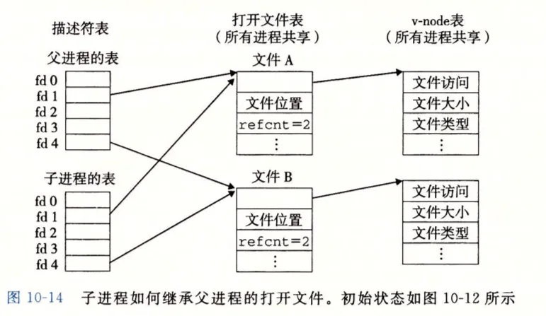 proc_file_dirent